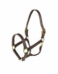 Leather Halter I8091