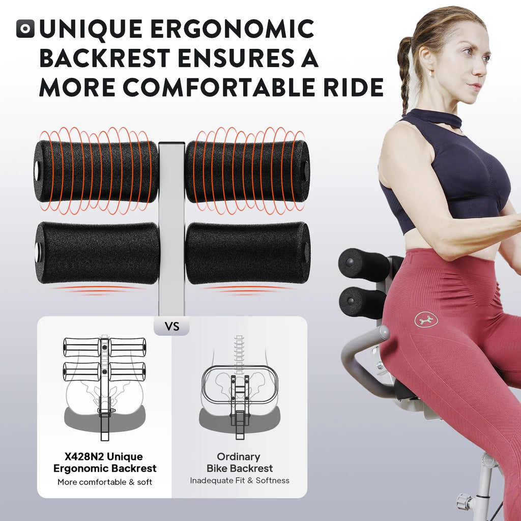 Indoor Cycling Stationary Belt Drive Exercise Bike D657