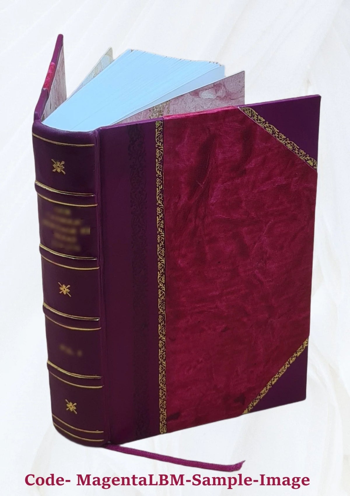 Leather Bound Book F505916
