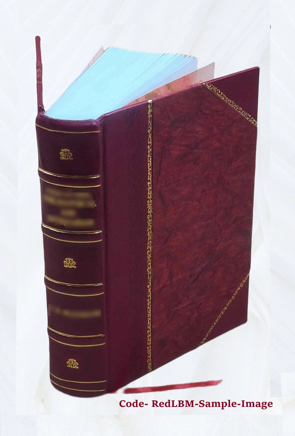 Leather Bound Book F505916