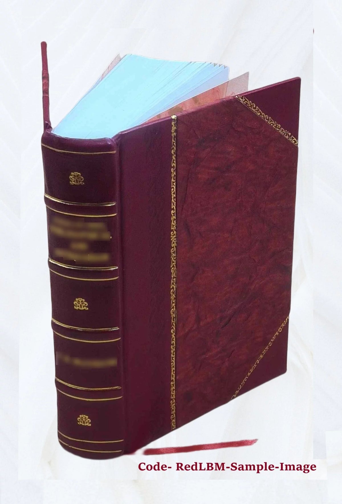 Leather Bound Book F505916