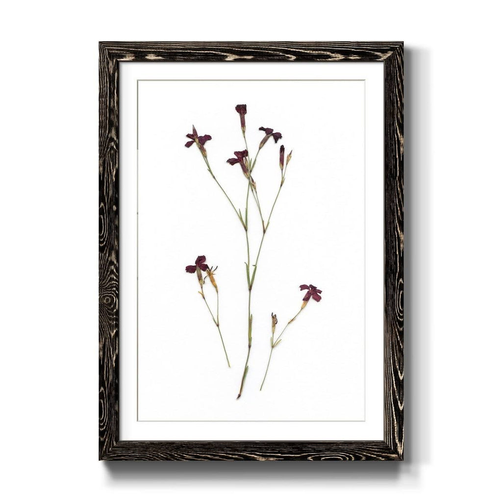 Framed Print 27.5X37.5 Black L48137