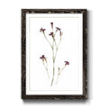 Framed Print 27.5X37.5 Black L48137