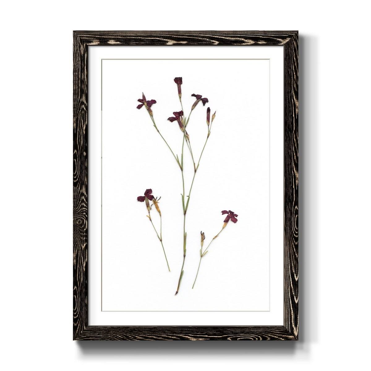 Framed Print 27.5X37.5 Black L48137