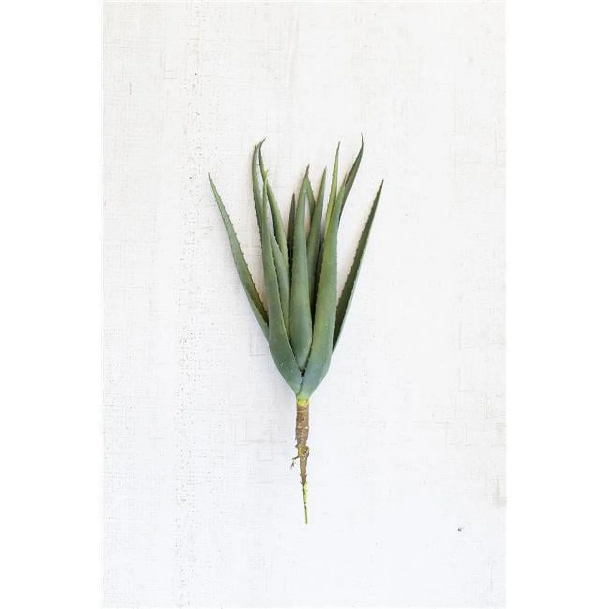 Artificial Aloe Stem Case of 6 B1477