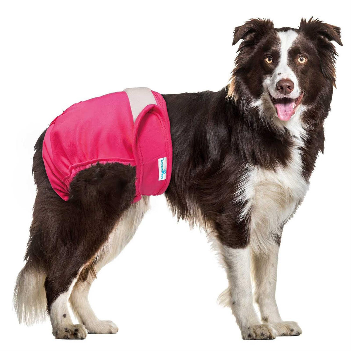 Washable Reusable Female Dog Diapers S20714