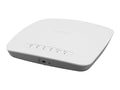 Wireless Access Point B50733