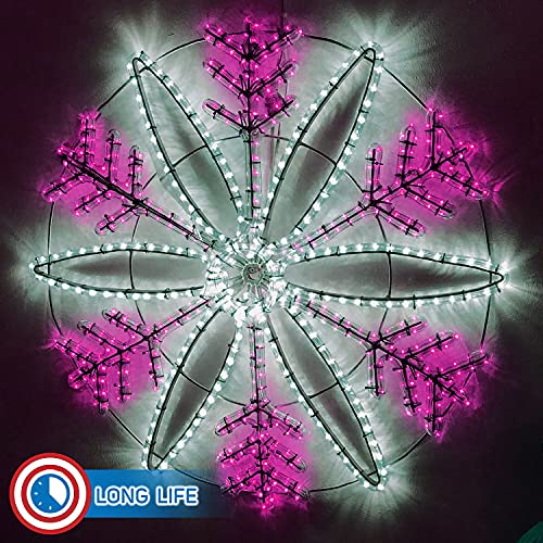 LED Rope Lights Cool White 50 T517