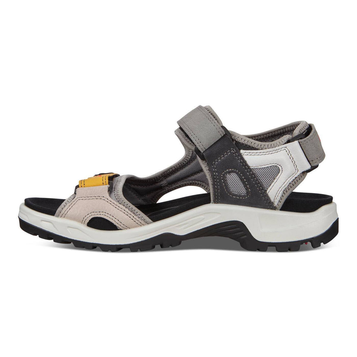 Multicolor Shoes H584