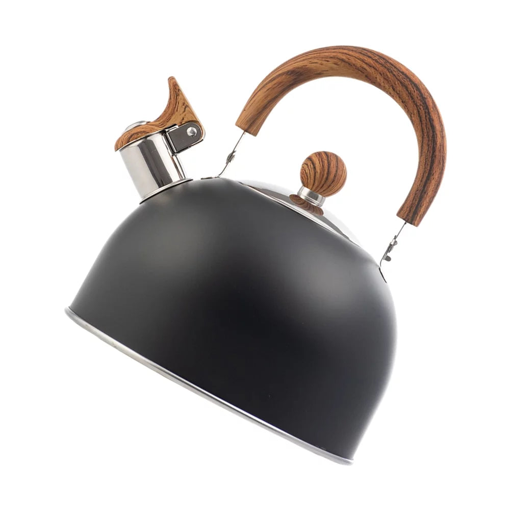 Whistling Stainless Steel Stovetop Tea Kettle V194
