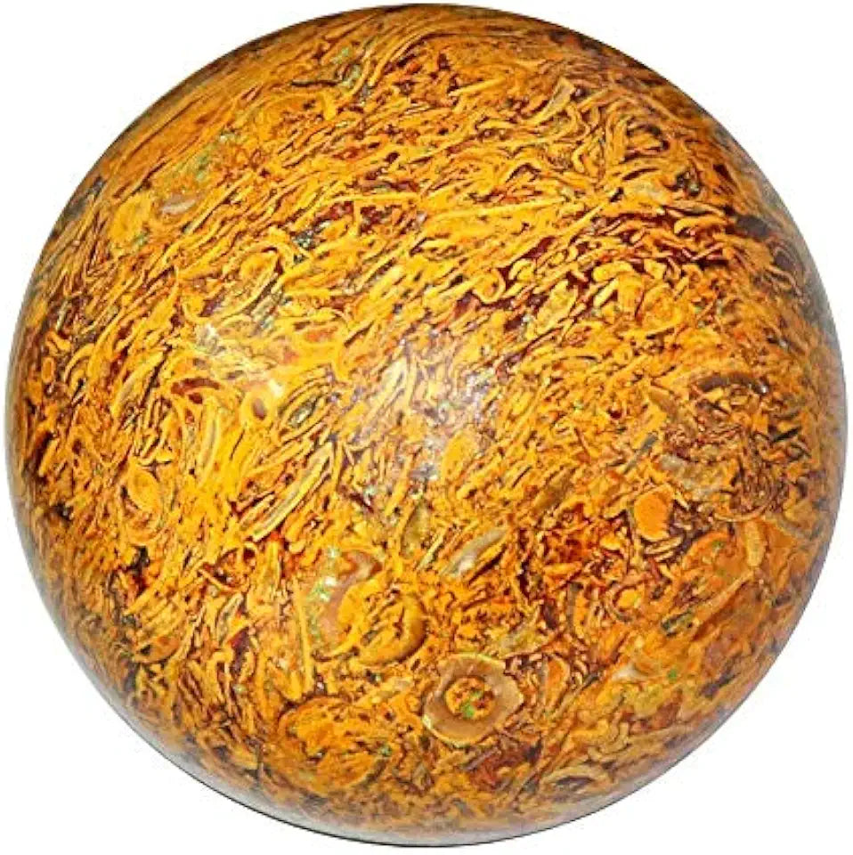 Natural Mariyam Fossil Gemstone Cabochon Untreated Stone B16825