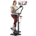 2-in-1 Stepper with Resistance Bands O90155