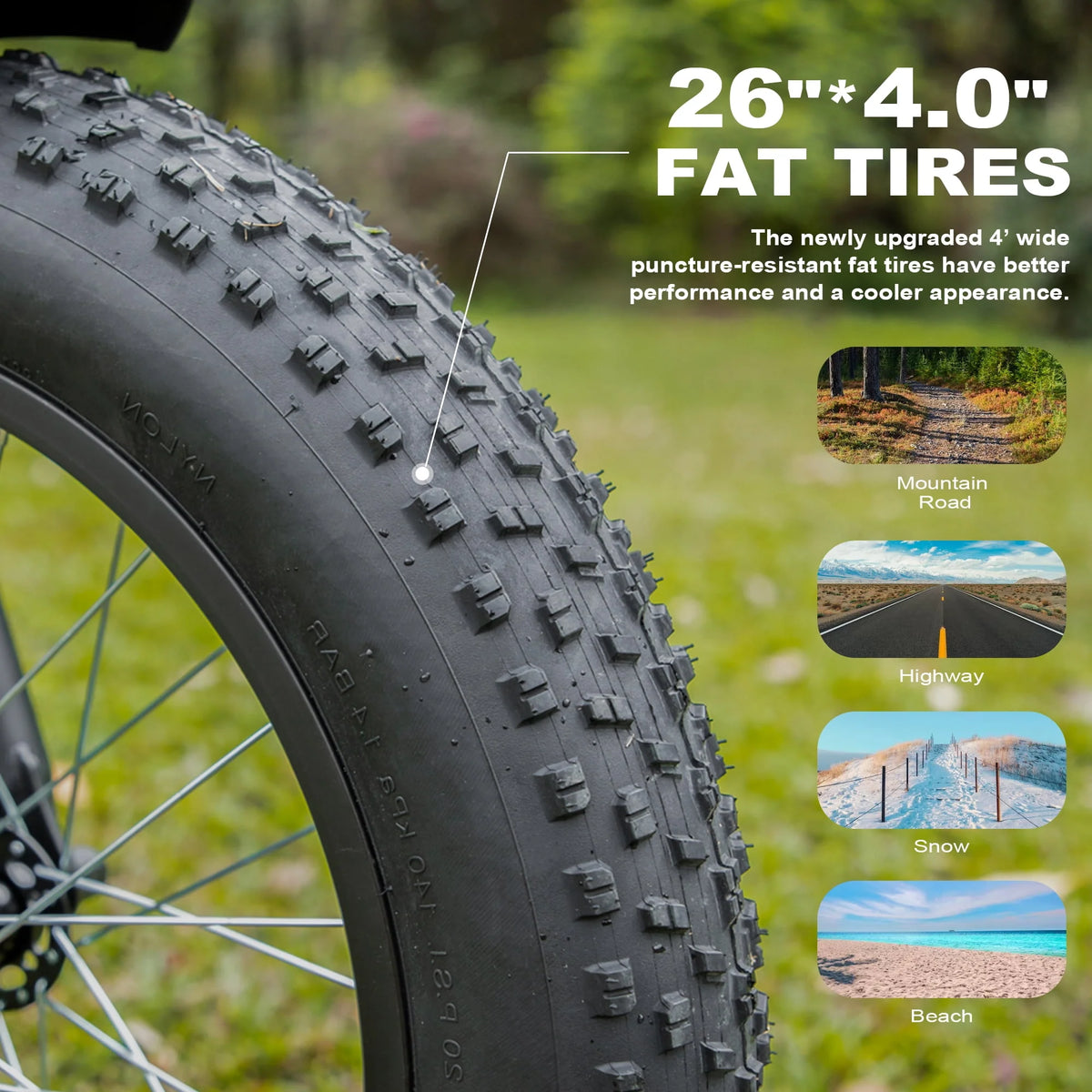 Electric Bike 26 Fat Tire 750W 48V D4182