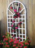 White Vinyl Trellis D79049