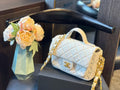 Mini Flap Bag with Top Handle N33369