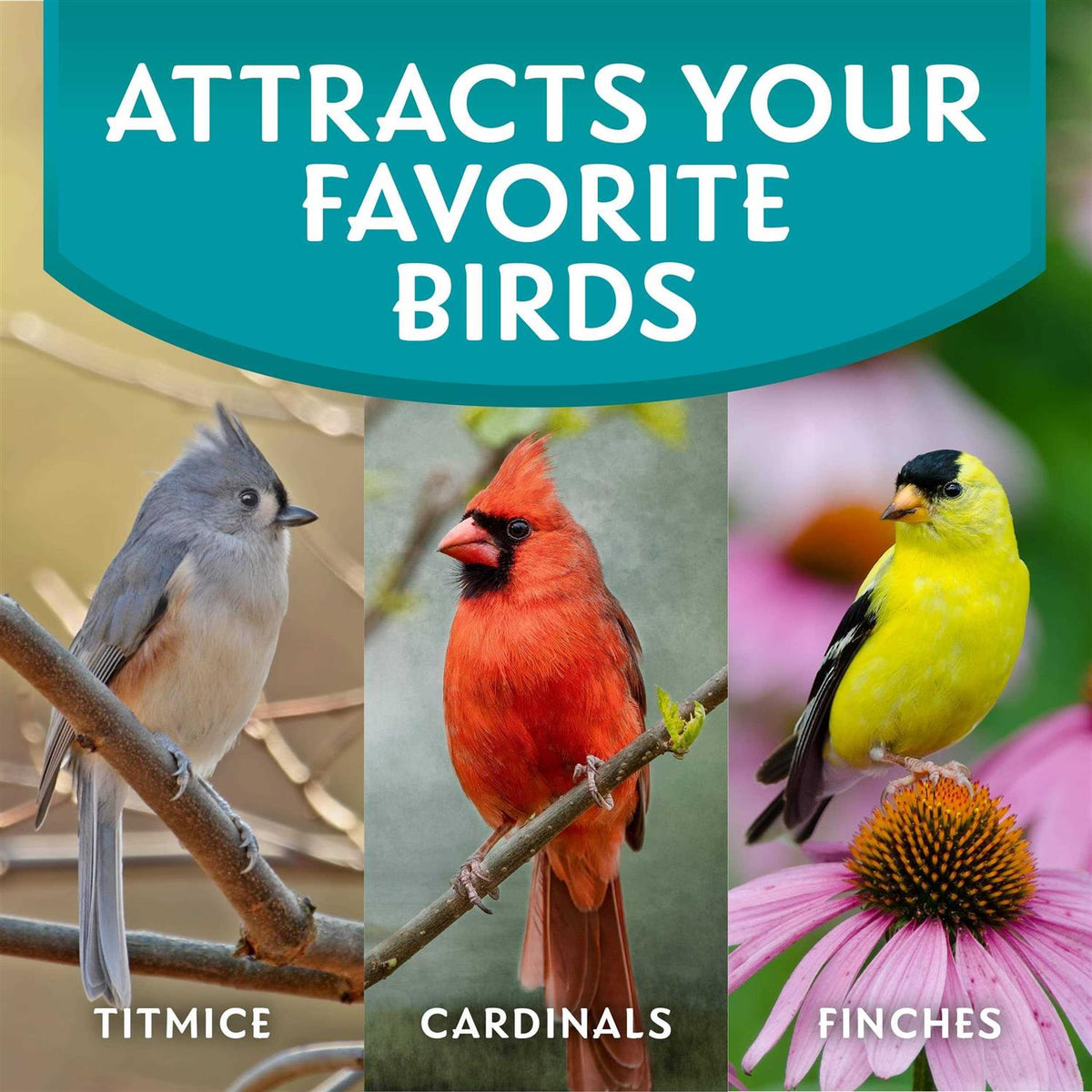 Wild Bird Food D557