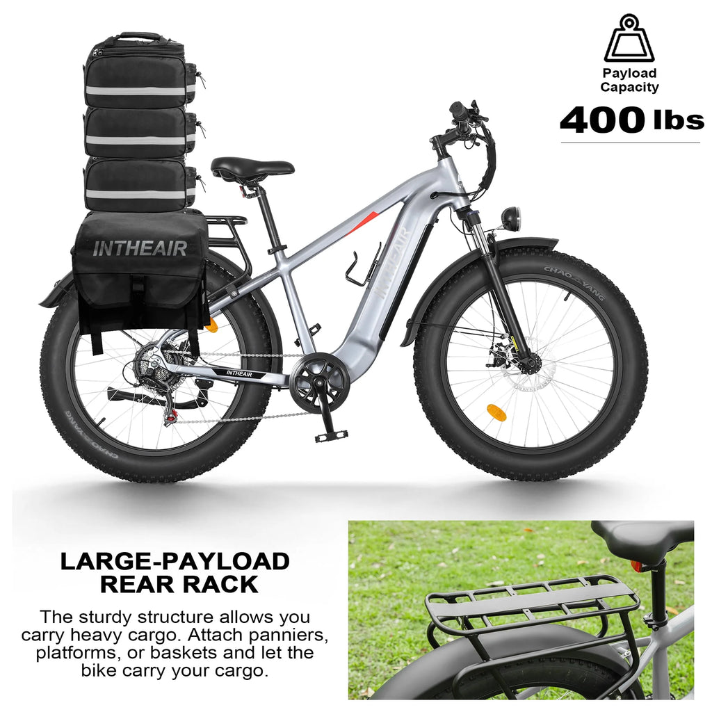 Electric Bike 26 Fat Tire 750W 48V D4182