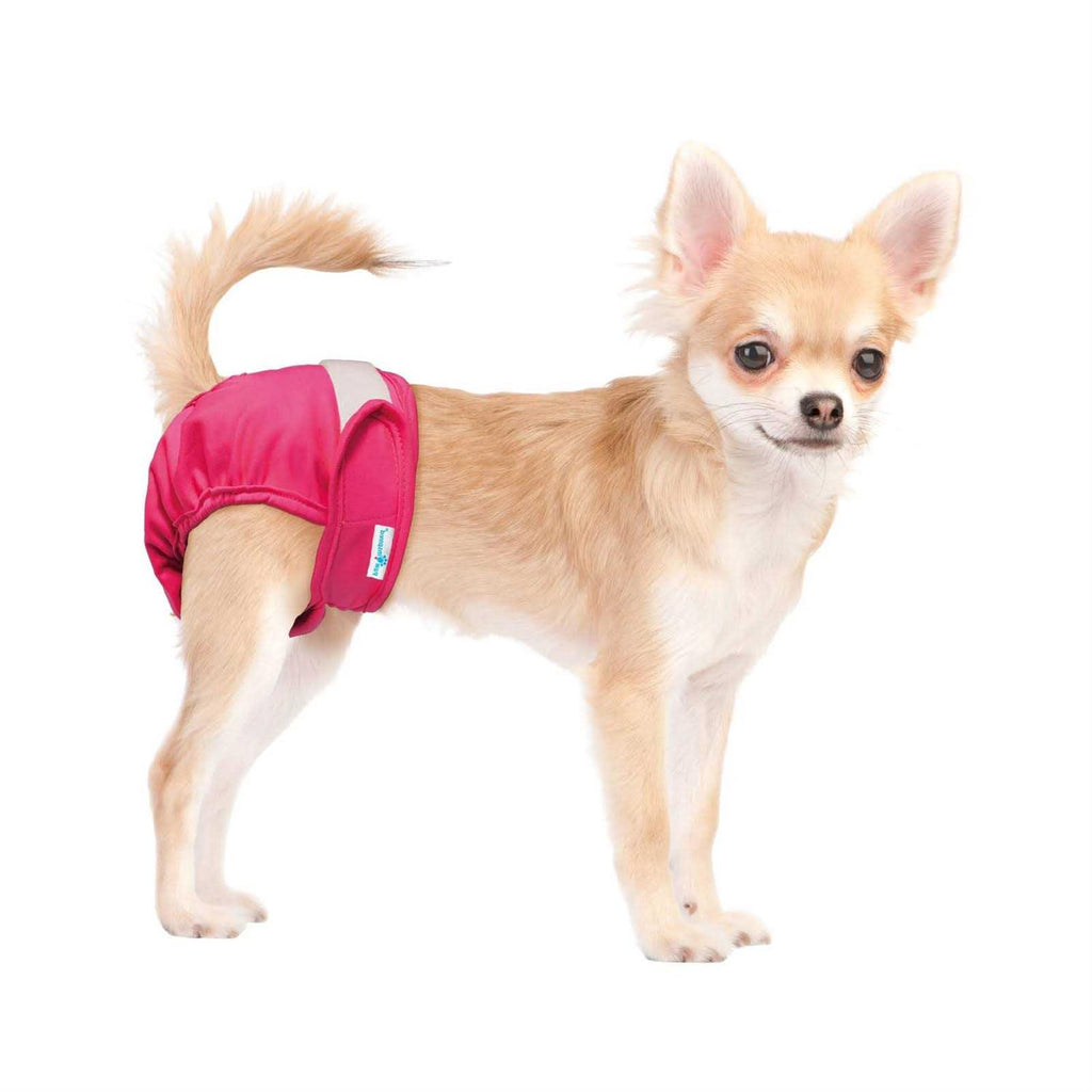 Washable Reusable Female Dog Diapers S20714