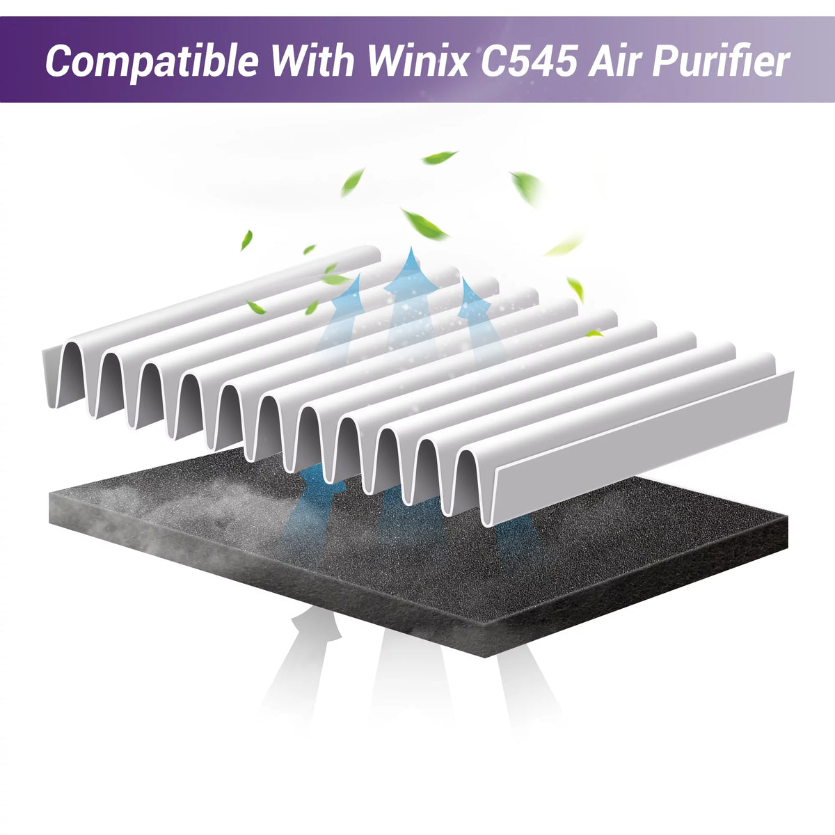C545 True HEPA Filter Replacement Y893973
