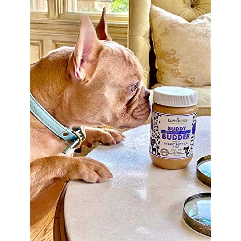 Superberry Snoot Buddy Budder Pet Supplies F46379