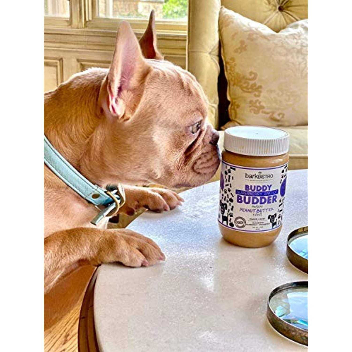 Superberry Snoot Buddy Budder Pet Supplies F46379