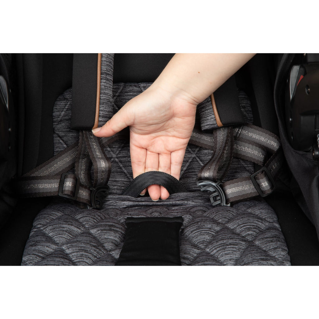 Stroller and Infant Car Seat A698478