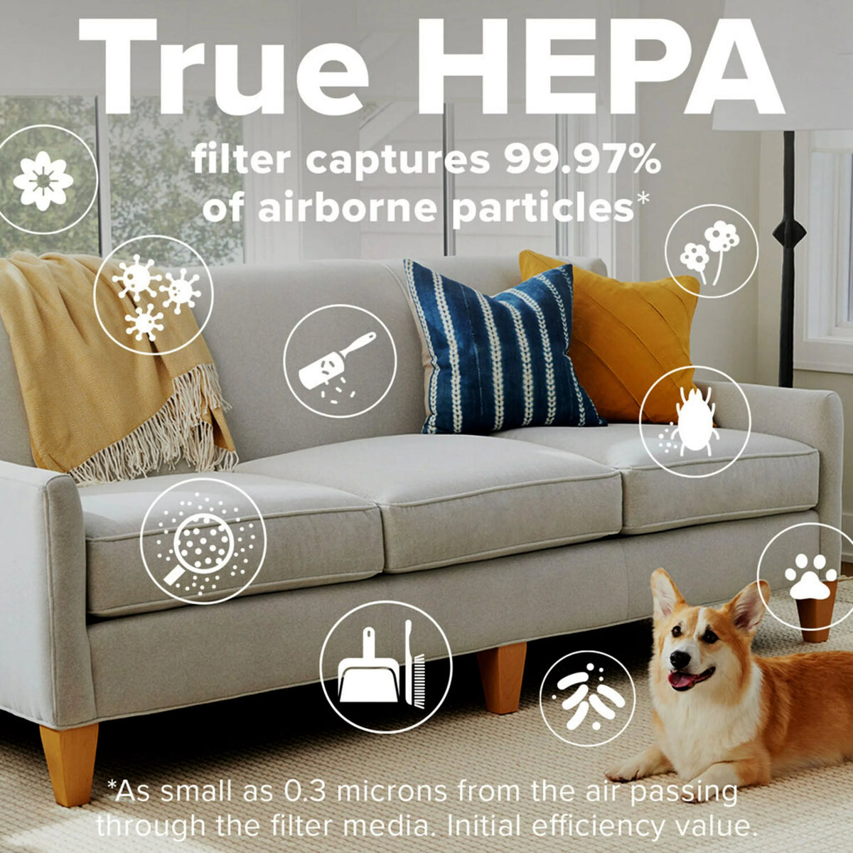 Large Air Purifier, White, Carbon True HEPA E874