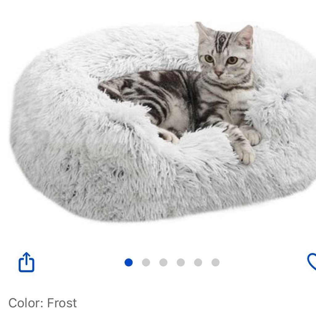 Rectangular Dog Bed Y595
