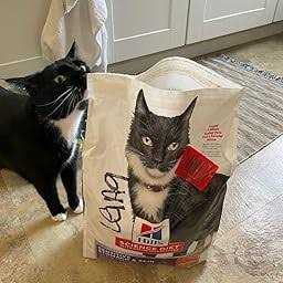 Grain Free Dry Cat Food W157477