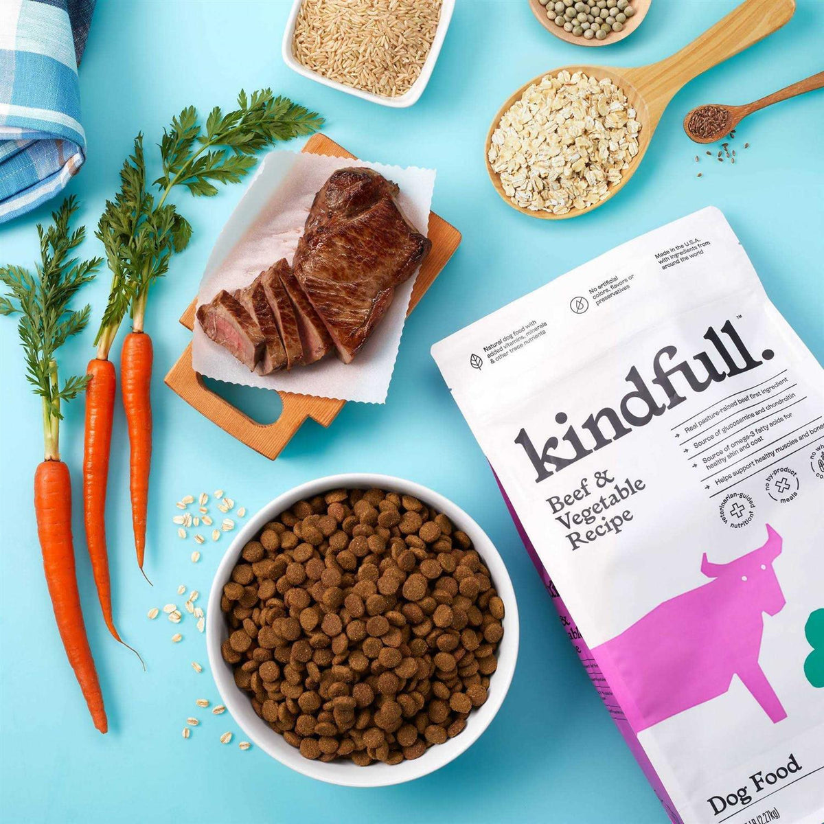 Beef and Vegetable Recipe Dry Dog Food J4210