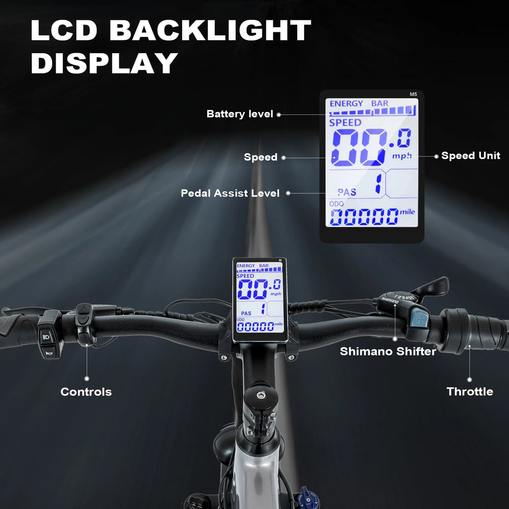 Electric Bike 26 Fat Tire 750W 48V D4182
