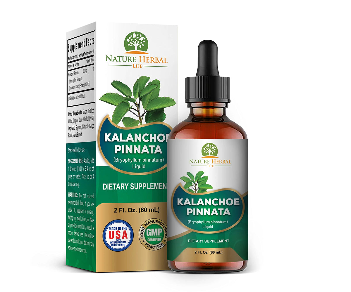 Kalanchoe Pinnata Dried Leaf and Stem Liquid Extract Herbal Supplement 2 oz G448