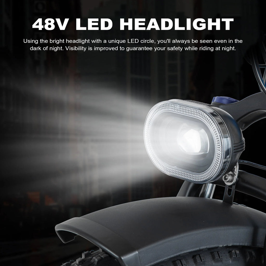 Electric Bike 26 Fat Tire 750W 48V D4182