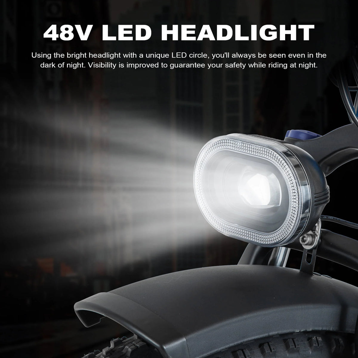Electric Bike 26 Fat Tire 750W 48V D4182