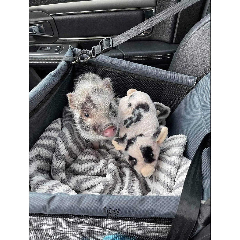 Pet Car Seat A7386