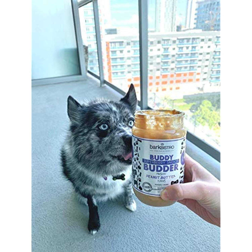 Superberry Snoot Buddy Budder Pet Supplies F46379