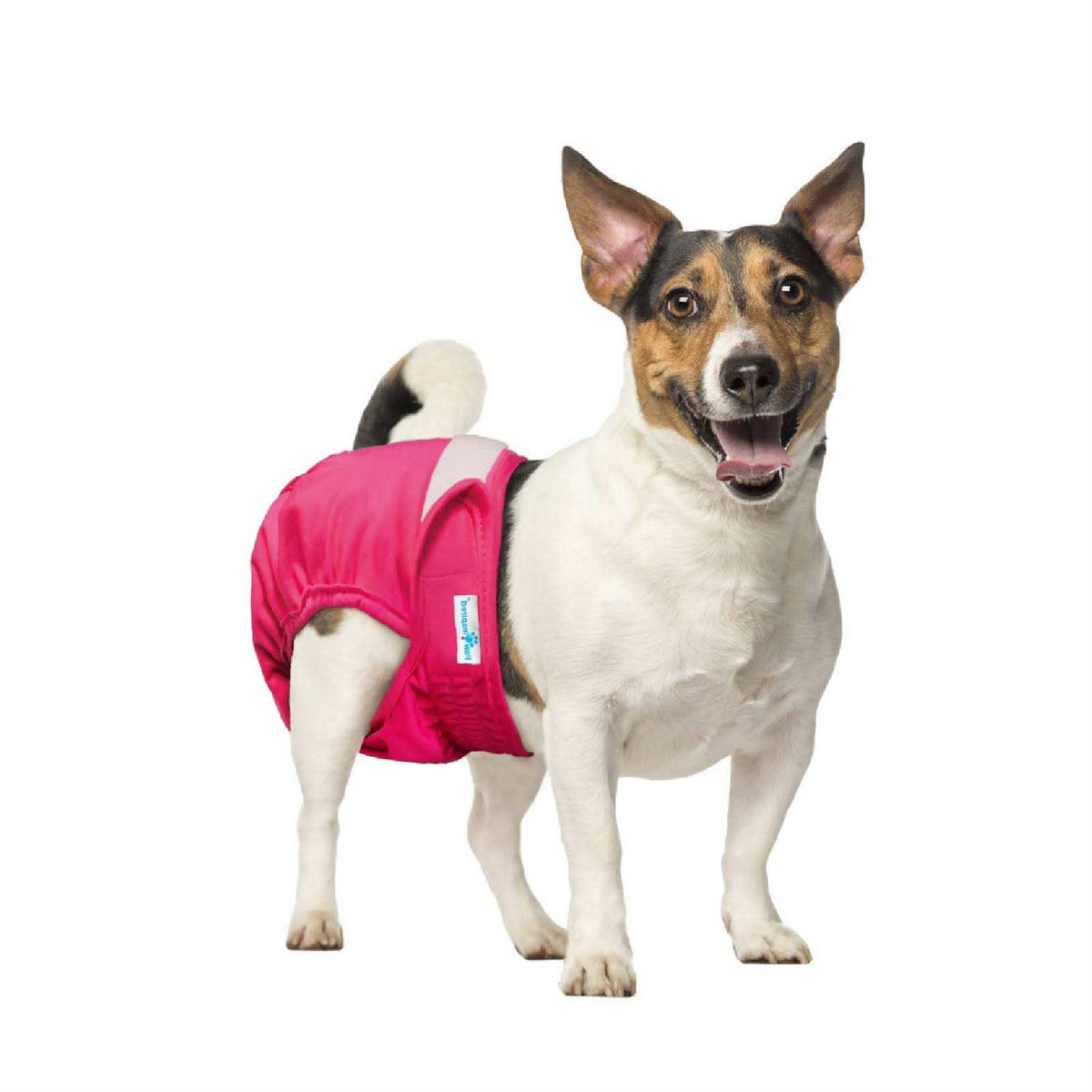 Washable Reusable Female Dog Diapers S20714