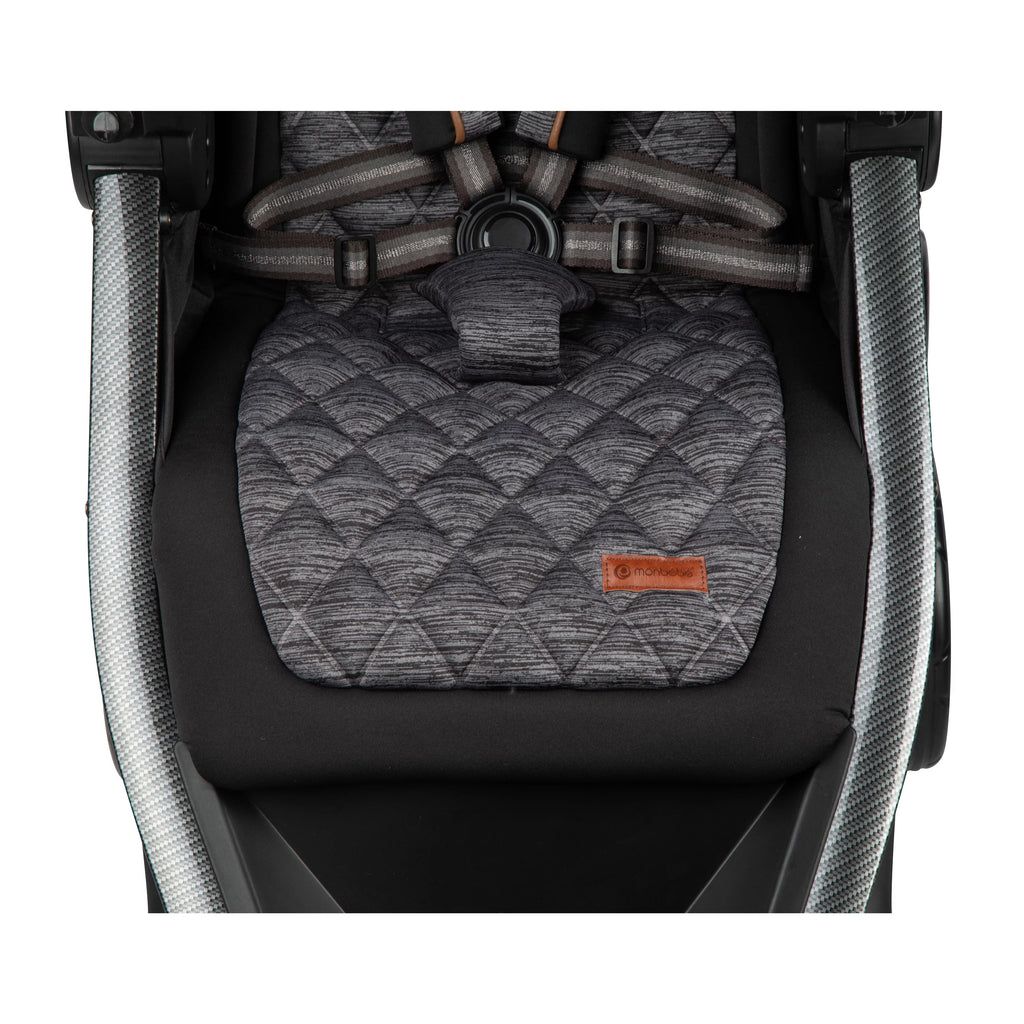 Stroller and Infant Car Seat A698478