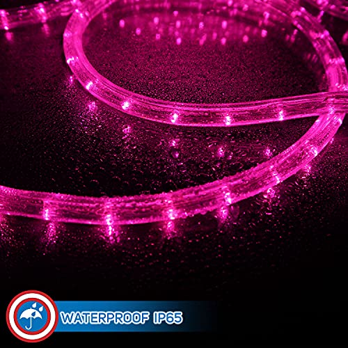 LED Rope Lights Cool White 50 T517